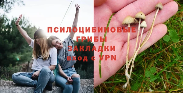 прущая мука Елабуга