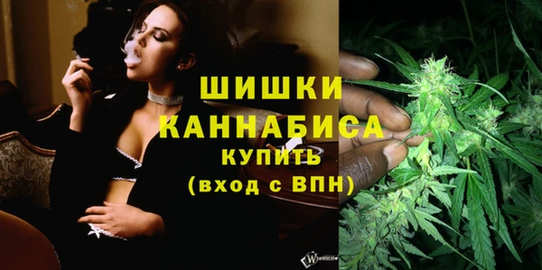 ALPHA PVP Няндома