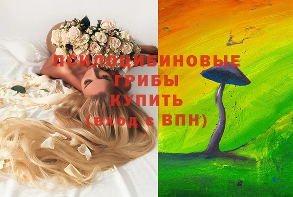 скорость mdpv Новодвинск