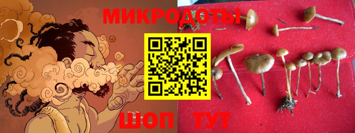 Полевской  Галлюциногенные грибы Cubensis  цена наркотик  Вход с VPN 