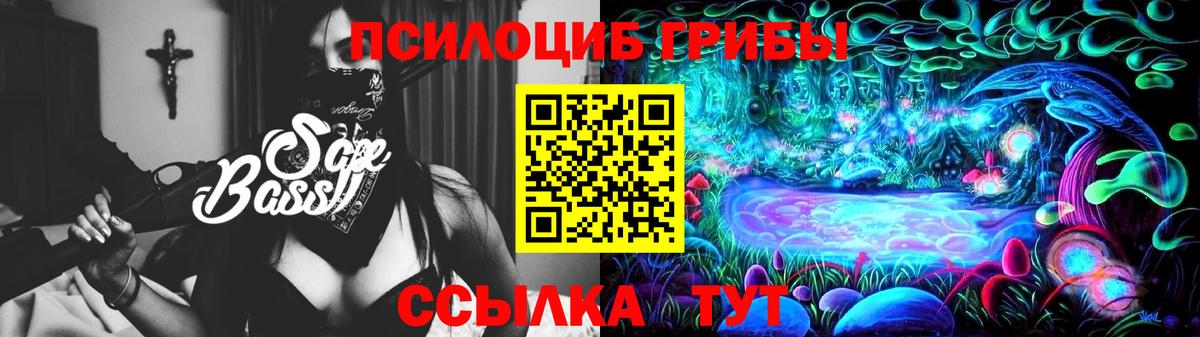 Псилоцибиновые грибы MAGIC MUSHROOMS Полевской