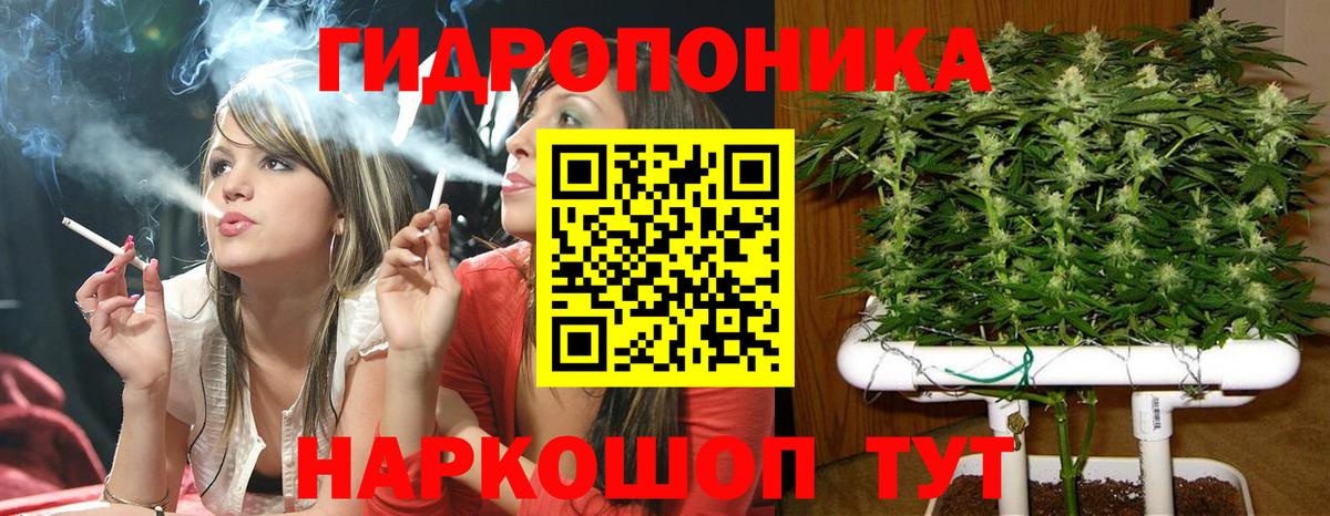 Бошки Шишки индика  Вход с VPN  Полевской  Канабис гибрид  Бошки Шишки семена  Бошки марихуана марихуана 